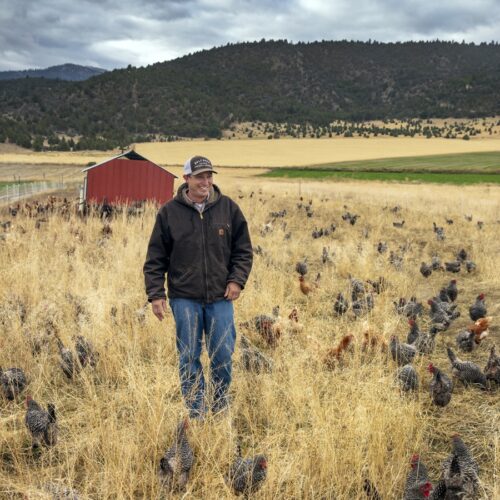 man walking on a farm